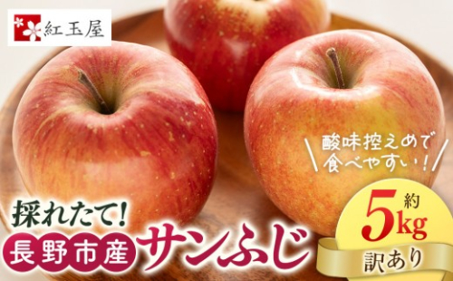 紅玉屋 長野市産【訳あり】サンふじ5kg【2026年12月上旬以降の出荷分】（紅玉屋） |  りんご フルーツ 果物 サンふじ 訳あり 人気 おすすめ ギフト プレゼント 送料無料 長野県 長野市 信州 信濃 ふるさと納税 2795926 - 長野県長野市
