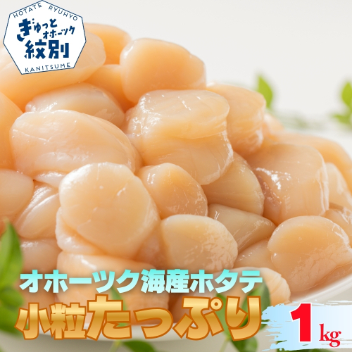 15-399 北海道オホーツク海産ホタテ玉冷小粒たっぷり(1kg) 2795994 - 北海道紋別市
