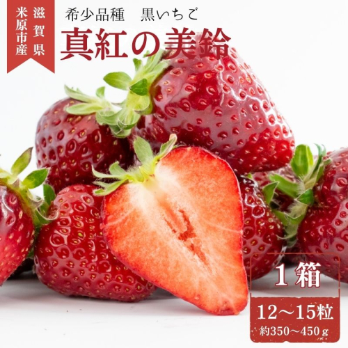 希少品種黒色いちご「真紅の美鈴（しんくのみすず）」1箱　※1月中旬より順次配送　いちご イチゴ 苺 果物 フルーツ 滋賀県 米原市 2796051 - 滋賀県米原市