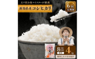【先行予約】R8年産 新潟県産 コシヒカリ  4kg 6か月定期便 新潟県 新潟市産 令和8年産 お米 精米 米 ご飯 送料無料