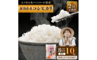 【先行予約】R8年産 新潟県産 コシヒカリ  10kg 2か月定期便 新潟県 新潟市産 令和8年産 お米 精米 米 ご飯 送料無料