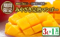 期間限定 マンゴー みやざき 完熟マンゴー 3L×1玉 フルーツ 果物 国産 食品 デザート 産地直送 送料無料_BA58-23