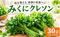 クレソン 100g × 30袋 美容 健康 野菜 スーパーフード 野菜 茨城県産 国産野菜 国産 茨城県 筑西市 筑西 関東 三国園 みくにクレソン mkn006
