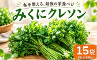 クレソン 100g × 15袋 美容 健康 野菜 スーパーフード 野菜 茨城県産 国産野菜 国産 茨城県 筑西市 筑西 関東 三国園 みくにクレソン mkn004