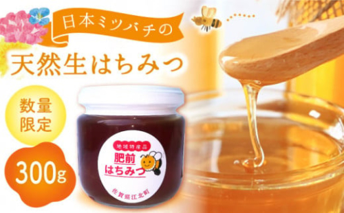 【先行予約】日本ミツバチの天然生はちみつ ( 百花蜜 ) 300g【白木酒店】 [HAQ011] / ハチミツ はちみつ 蜂蜜 日本ミツバチ 国産 国産はちみつ 佐賀