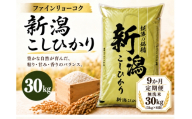 【9か月定期便 令和8年産】 《無洗米》《食味鑑定士厳選》新潟県佐渡産コシヒカリ 合計270kg（30kg＝5kg×6袋を毎月お届け全9回） | 新潟県産コシヒカリ 新潟産コシヒカリ 佐渡産コシヒカリ 新潟県産こしひかり 佐渡産こしひかり お米 米 こしひかり 無洗米 むせんまい 精米 おこめ コメ 30キロ にいがた さど 新潟県 佐渡市