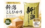 【12か月定期便 令和8年産】 《無洗米》《食味鑑定士厳選》新潟県佐渡産コシヒカリ 合計240kg（20kg＝5kg×4袋を毎月お届け全12回） | 新潟県産コシヒカリ 新潟産コシヒカリ 佐渡産コシヒカリ 新潟県産こしひかり 佐渡産こしひかり お米 米 こしひかり 無洗米 むせんまい 精米 おこめ コメ 20キロ にいがた さど 新潟県 佐渡市