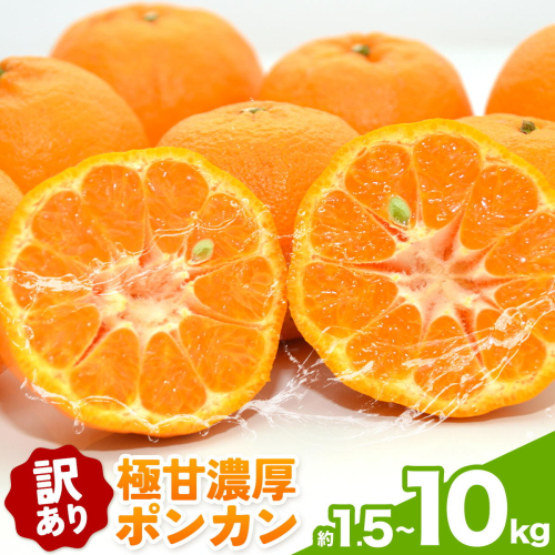 ご家庭用 極甘 柑橘 有田育ちの 濃厚 ポンカン 選べる 約1.5kg 約3kg 約5kg 約7.5kg 約10kg 有田マルシェ《1月中旬-2月下旬頃発送予定》和歌山県 日高町 国産 ぽんかん 訳あり 柑橘 果物 フルーツ ギフト 送料無料 2797724 - 和歌山県日高町