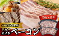 『訳あり』十勝放牧黒豚 無添加ベーコン 100g×10 【 ふるさと納税 人気 おすすめ ランキング 北海道産 十勝 訳あり 黒豚 ベーコン 放牧 無添加 ブロック 朝食 朝ゴハン BBQ ギフト 贈答用 鹿追町 送料無料 】 SKN087
