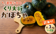 訳あり かぼちゃ くり大将 《訳あり/正規品・容量が選べる！》訳あり 茨城県産 くり大将  約3kg (1玉〜2玉) / 約5kg (2玉〜3玉) / 約10kg (5玉〜6玉) 【茨城県 下妻市産 かぼちゃ カボチャ 南瓜 くり大将 くりたいしょう 採れたて 旬野菜 季節の野菜 甘い おすすめ】