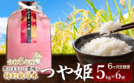 【令和8年産 新米】【定期便6ヵ月】 黒川まるいし農場の特別栽培米 つや姫 5kg×6ヵ月 山形県鶴岡市産 K-840 | つやひめ 米どころ 庄内米 ブランド米 米 コメ こめ ご飯 ごはん 美味しい お取り寄せ 農家直送 東北 国産 おすすめ 人気 返礼品 2026年産