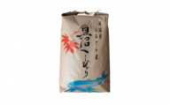 【令和8年産新米予約】南魚沼産　塩沢コシヒカリ「だすけ米」玄米30kg【銘柄米 ブランド米 玄米 こしひかり コシヒカリ 魚沼産 新潟米 産地直送 お米 米 こめ コメ ご飯 御飯 ごはん】