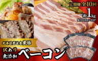 【定期10ヶ月】『訳あり』十勝放牧黒豚 無添加ベーコン 100g×10 【 ふるさと納税 人気 おすすめ ランキング 北海道産 十勝 訳あり 黒豚 ベーコン 放牧 無添加 ブロック 朝食 朝ゴハン BBQ ギフト 贈答用 鹿追町 送料無料 】 SKN092