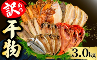干物 3.0kg 【2026年12月発送】 山由水産 訳あり 干物 詰め合わせ セット 配送不可地域あり