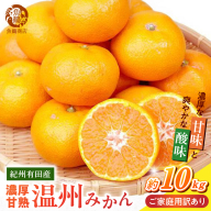 【2026年先行予約】紀州 有田産 濃厚甘熟 温州みかん 約10kg 【家庭用 訳あり】 _G7379