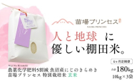 【令和8年産先行予約】【6ヶ月定期便】【農薬化学肥料5割減】魚沼産にじのきらめき苗場プリンセス特別栽培米 玄米 30kg(10kg×3) 計180kg | 苗場プリンセス米 おすすめ 人気ギフト 新潟県 津南町