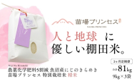 【令和8年産先行予約】【3ヶ月定期便】【農薬化学肥料5割減】魚沼産にじのきらめき苗場プリンセス特別栽培米 精米27kg(9kg×3)計81kg | 苗場プリンセス米 おすすめ 人気ギフト 新潟県 津南町