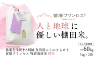 【令和8年産先行予約】【6ヶ月定期便】【農薬化学肥料5割減】魚沼産にじのきらめき苗場プリンセス特別栽培米 精米10kg(5kg×2)計60kg | 苗場プリンセス米 おすすめ 人気ギフト 新潟県 津南町