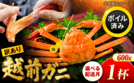 【先行予約/2月配送】訳アリ 脚折れあり 越前がに 600ｇ×1ハイ 小浜市 / まるほ商店【配送不可地域：北海道・沖縄・離島】 [BFCS062-2]
