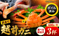 【先行予約/1月配送】訳アリ 脚折れあり 越前がに 600ｇ×3ハイ 小浜市 / まるほ商店【配送不可地域：北海道・沖縄・離島】 [BFCS064-1]
