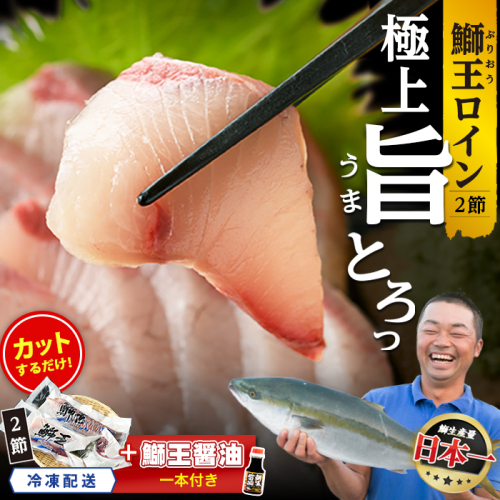 【冷凍】【10月以降順次発送】【切って盛るだけ】『旅サラダ』で紹介ぶりの王様「 鰤王 」 ロイン 2節 (約1.0kg～)【鰤王しょう油付】 半身 産地直送 新鮮 旨味が抜群の 長島町 特産品 ブランド ぶり 鰤 ブリ 切り身 真空 刺身 ぶりしゃぶ しゃぶしゃぶ 魚 魚介 人気 ランキング 【JFA】jfa-1678B 2798703 - 鹿児島県長島町