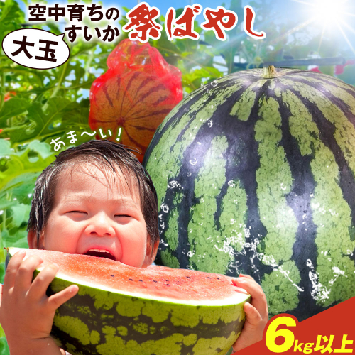 【先行予約】贅沢な甘さとシャリ感 空中育ちの大玉すいか 祭ばやし 6kg以上 1玉 そうがわ農園 《2027年6月下旬-8月上旬頃出荷》 和歌山県 日高川町 スイカ 西瓜 すいか 大玉 2799255 - 和歌山県日高川町