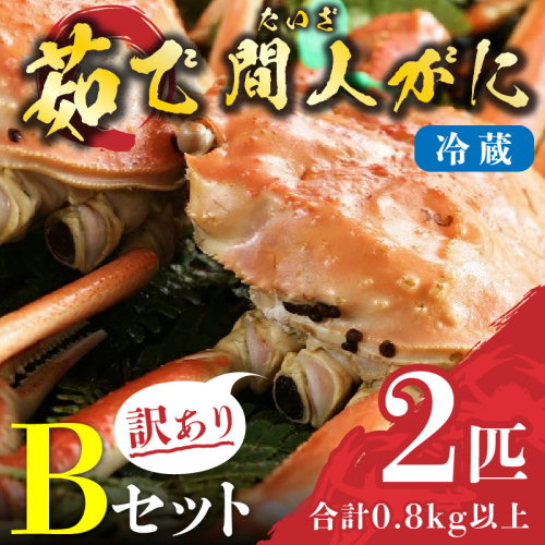 （訳あり）茹で間人がに 2匹 Bセット　11/10～11/21発送予定 2799444 - 京都府京丹後市