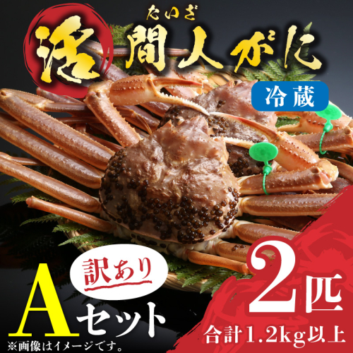 （訳あり）活間人がに 2匹 Aセット　2/22～3/21発送予定 2799600 - 京都府京丹後市