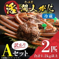 （訳あり）活間人がに 2匹 Aセット　2/22～3/21発送予定