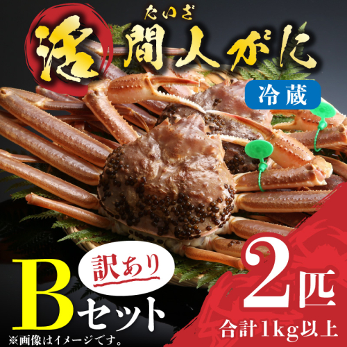 （訳あり）活間人がに　2匹　Bセット　11/10～11/21発送予定 2799605 - 京都府京丹後市