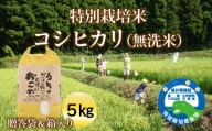 【令和5年度産】特別栽培米コシヒカリ（無洗米）５㎏　ご贈答袋＆箱入り