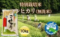 【令和5年度産】特別栽培米コシヒカリ（無洗米）10㎏　ビニール袋入り