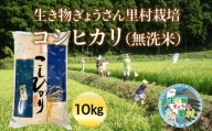【令和5年度産】生き物ぎょうさん里村栽培 コシヒカリ（無洗米）10㎏ ビニール袋入り