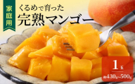 【2027年7月以降お届け】【家庭用】くるめで育った完熟マンゴー（1玉：約430～500g） _ くるめで育った 完熟マンゴー 約 1玉 430 ～ 500g 甘い 果物 果実 スイーツ デザート マンゴー 国産 クール便 倉重農園 お取り寄せ お取り寄せスイーツ 福岡県 久留米市 送料無料 _ Fm009-01