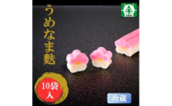 (株)スギタニ　うめなま麩　60g(2本)×10袋＜冷蔵＞【1738872】