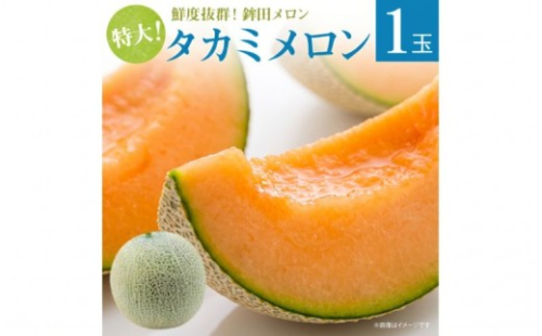 【極選大玉】 タカミメロン 赤肉 1玉入り 2.5kg 以上 メロン めろん 舐瓜 茨城 果物 くだもの フルーツ 果実 国産 めろん メロン meron melon 旬 デザート 産地直送 農家直送 数量限定 期間限定 旬 贈答用 プレゼント ギフト 贈り物 高級 ふるさと納税メロン 舐瓜 茨城県 鉾田市 ほこたメロン みなみ果樹園芸 2800480 - 茨城県鉾田市