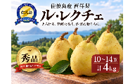 【先行予約】「ル・レクチェ」10～14玉(計4kg) 秀品 佐渡島産 西洋梨 | 新潟県産洋梨 新潟産ルレクチェ 佐渡産ル・レクチェ ルレクチェ ル レクチェ るれくちぇ 洋梨 洋なし 西洋梨 梨 なし フルーツ 果物 くだもの ギフト 贈答 秀品 4キロ にいがた さど 新潟県 佐渡市 ル・レクチエ ルレクチェ ル レクチエ るれくちぇ ル・レクチエ ルレクチェ ル レクチエ るれくちぇ