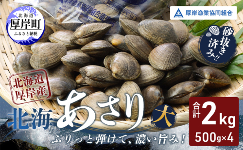 あさり【4月～6月発送】北海道 厚岸町産 天然 殻あさり(大) 500g×4　【厚岸漁業協同組合】[ アサリ 貝 味噌汁 酒蒸し 混ぜご飯 ]  2800548 - 北海道厚岸町