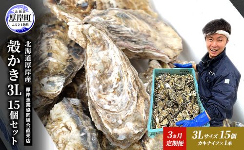 定期便 3ヵ月 牡蠣 殻付き 生食 3L15個 北海道 厚岸産 マルえもん【厚岸漁業協同組合】カキナイフ付 [ カキ かき 生牡蠣 殻かき オイスター 冷蔵 ］ 2800577 - 北海道厚岸町
