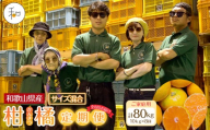 ［定期便］森本農園の手選別 柑橘定期便 家庭用 約10kg サイズ混合 和歌山県産 ［北海道・沖縄・離島配送不可］［2026年10月～2027年5月まで全8回お届け］ ［RN169］