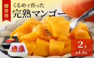 【2027年6月以降お届け】くるめで育った完熟マンゴー（2玉：約1.1kg） _ 贈答用 くるめで育った 完熟マンゴー 2玉 約 1.1kg 甘い 高糖度 地植栽培 ビタミンA トロピカル フルーツ 果物 マンゴー 国産 クール便 お取り寄せ 福岡県 久留米市 送料無料 _ Fm010-02-11