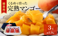 【2027年6月以降お届け】くるめで育った完熟マンゴー（3玉：約1.3kg） _ 贈答用 くるめで育った 完熟マンゴー 3玉 約 1.3kg 甘い 高糖度 地植栽培 ビタミンA トロピカル フルーツ 果物 マンゴー 国産 クール便 お取り寄せ 福岡県 久留米市 送料無料 _ Fm010-03-13
