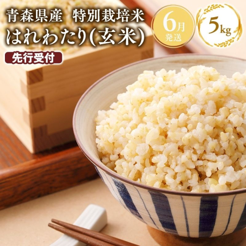 ≪令和8年産 先行予約≫6月上旬よりお届け! 　特別栽培米 はれわたり玄米5kg【青森県 平川市】 米 お米 玄米 青森県産 産地直送 おにぎり 朝ご飯 冷めてもおいしい ご飯 コメ こめ 白米 ごはん ブランド米 特A 特A米 お取り寄せ グルメ 2800777 - 青森県平川市