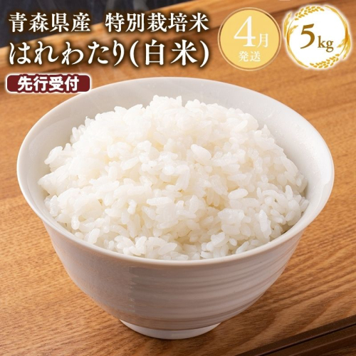 ≪令和8年産 先行予約≫4月上旬よりお届け! 　特別栽培米 はれわたり白米5kg【青森県 平川市】米 お米 精米 青森県産 産地直送 2800779 - 青森県平川市