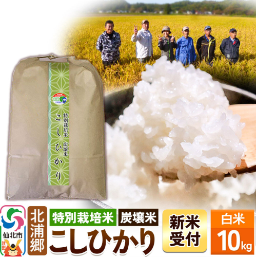 《令和8年産 新米予約》【特別栽培米 炭壌米 こしひかり】白米 10kg [白米 精米 米 こめ コメ コシヒカリ 特別栽培米 炭壌米 北浦郷 秋田県 仙北市] 2800787 - 秋田県仙北市