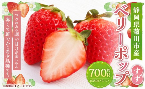 ベリーポップすず 約350g × 2パック 計約700g イチゴ いちご 苺 果物 くだもの フルーツ 果実 果肉 甘み 希少品種 希少性 国産 静岡県菊川市産 冷蔵 【 2026年12月上旬～2027年3月上旬まで順次発送予定 】 2800792 - 静岡県菊川市