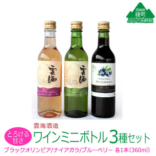 雲海ワイン お試しミニボトル 3種類 白 ブルーベリー 飲みやすい 甘口 ワイン 少量 360ml【雲海酒造】_A0114-064 2801089 - 宮崎県綾町