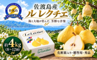【2026年12月上旬より順次発送】佐渡島産 ル レクチエ 約4kg（8～12個）化粧箱入り・贈答用・秀品 | 新潟県産洋梨 新潟産ルレクチェ 佐渡産ル・レクチェ ルレクチェ ル レクチェ るれくちぇ 洋梨 洋なし 西洋梨 梨 なし フルーツ 果物 くだもの ギフト 贈答 秀品 4キロ にいがた さど 新潟県 佐渡市