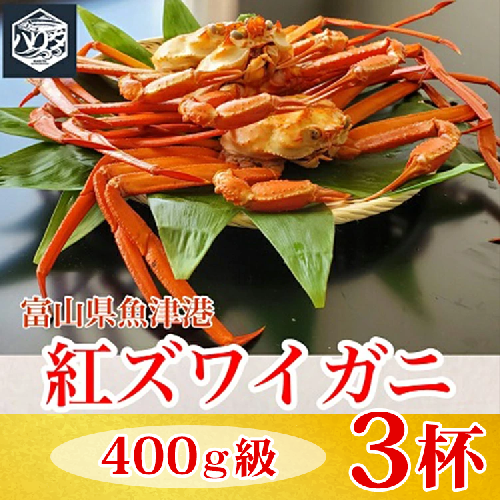 【冷蔵】自社漁船直送！魚卸問屋の紅ズワイガニ 400g級×3ハイセット ※2026年9月～発送 2801259 - 富山県魚津市