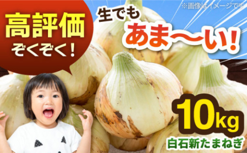 白石産 新たまねぎ（約10kg）【佐賀県農業協同組合】新玉葱 新玉ねぎ 玉葱 タマネギ サラダ 野菜 玉ねぎ たまねぎ 佐賀 10kg 九州 佐賀県 白石町  白石 [IAK017]
